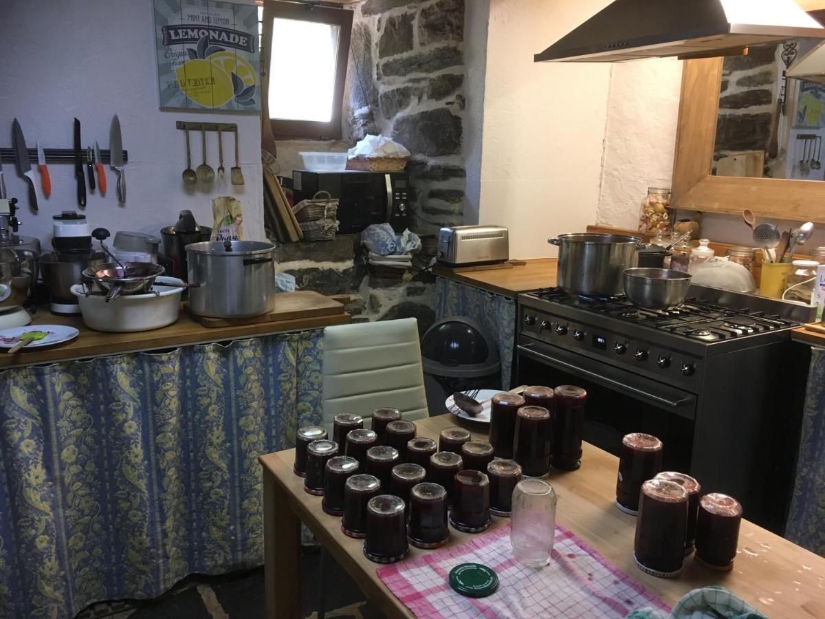Chambres D'Hotes Le Lepadou-Bas Saint Chely d'Aubrac Bagian luar foto