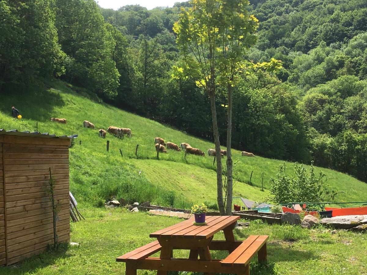 Chambres D'Hotes Le Lepadou-Bas Saint Chely d'Aubrac Bagian luar foto