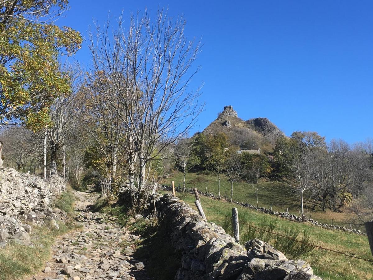 Chambres D'Hotes Le Lepadou-Bas Saint Chely d'Aubrac Bagian luar foto