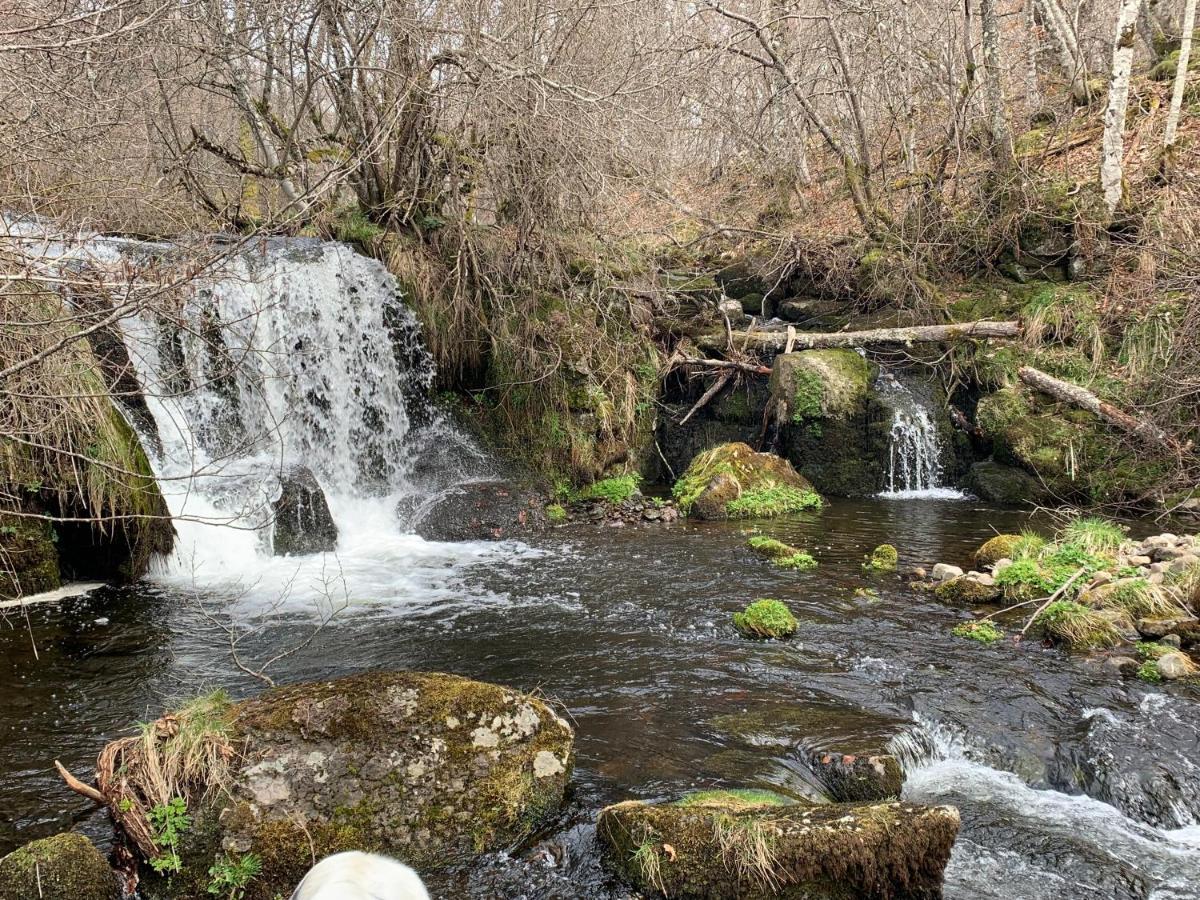 Chambres D'Hotes Le Lepadou-Bas Saint Chely d'Aubrac Bagian luar foto